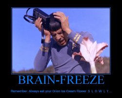 Brain Freeze --- Remember: Always eat your Orion Ice Cream Flower S-L-O-W-L-Y...