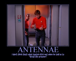Antennae --- I don't think that's what Captain Kirk met when he told us to break the prisoner.