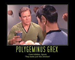Polygeminus Grex --- I love tribbles, Spock. They taste just like chicken!