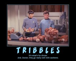 Tribbles --- It's what's for dinner. And, Doctor, they go really well with cashews.