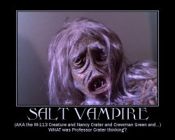 Salt Vampire --- (AKA the M-113 Creature and Nancy Crater and Crewman Green and...) WHAT was Professor Crater thinking?