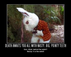 Death Awaits You All with Nasty, Big, Pointy Teeth --- Sulu: What, behind the rabbit?  McCoy: It is the rabbit!