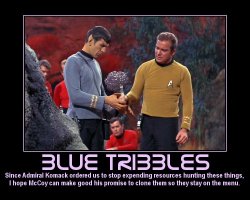 Blue Tribbles --- Since Admiral Komack ordered us to stop expending resources hunting these things, I hope McCoy can make good his promise to clone them so they stay on the menu.