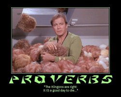 Proverbs --- 'The Klingons are right: It IS a good day to die...'