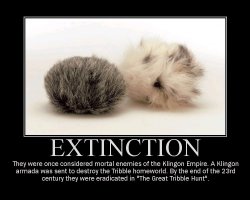 Extinction --- They were once considered mortal enemies of the Klingon Empire. A Klingon armada was sent to destroy the Tribble homeworld. By the end of the 23rd century they were eradicated in 'The Great Tribble Hunt'.