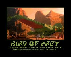 Bird of Prey --- I suppose 'Klingon - Vulture of Lesser Species' was too politically incorrect even for a race of warriors...