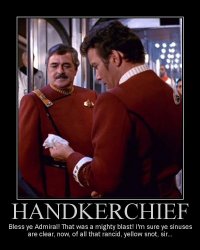 Handkerchief --- Bless ye Admiral! That was a mighty blast! I'm sure ye sinuses are clear, now, of all that rancid, yellow snot, sir...